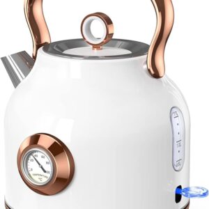 Kettle boiler