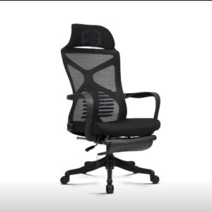 Home/Office Chair